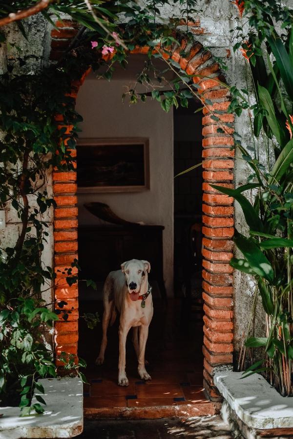 Hosteria Chata Adults Only Lo de Marcos Bagian luar foto